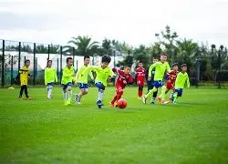 日体育行业,跌幅达,力盛体育居,OD,Sports,OD体育,体育直播,体育赛事,APP下载,官方网地址