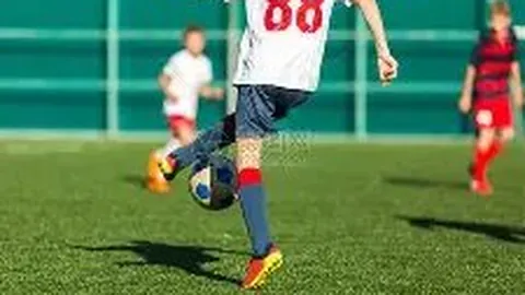 东莞理工学院斩获4项广东科技进步奖